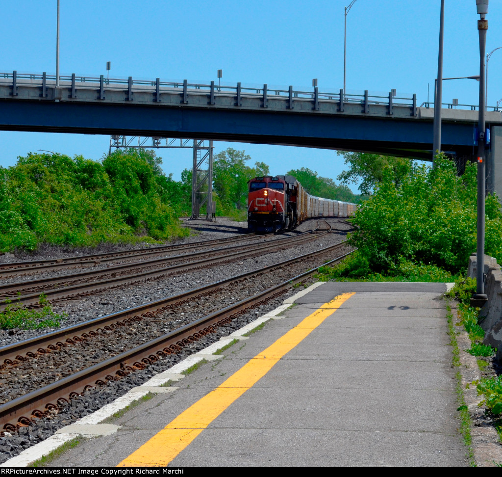 CN 2300